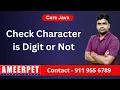 Check the Character is Digit or Not Ameerpet Technologies By Srinivas