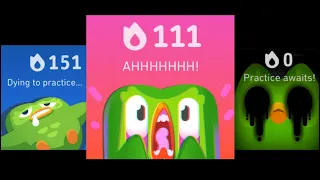 New Duo Widgets But They Get WORSE