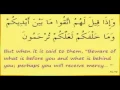 Download Lagu Surah Yaseen - Sheikh Maher al-Muaiqly