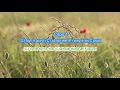 Heart of Life by John Mayer play along with scrolling guitar chords and lyrics