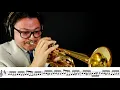 "The Green Hornet"  (Play with Me n.21) - Andrea Giuffredi