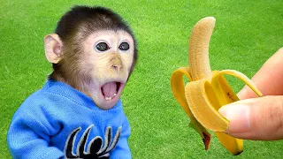سورة البقرة طاردة الشياطين💚 بصوت هادئ ومريح جدا جدا 💚💤تلاوة هادئة للنوم والراحة النفسية 😴 🔴 Live