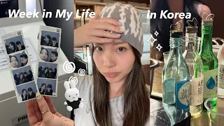 Week in My Life in Korea .✦ ݁˖ first baseball game, exam at midnight, love life tarot?