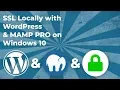 How To Create An SSL On Localhost Domain On Windows With MAMP PRO
