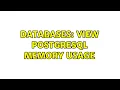 Databases View Postgresql Memory Usage 2 Solutions