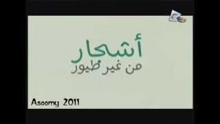 قناة تغاريد   نشيد   تلك المجد بلا جمهور   دندنها