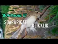 Download Lagu suara pikat klik klik ampuh untuk pancingan ciwah bahan