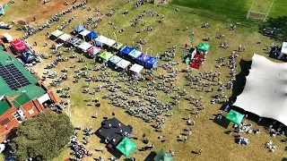 The ZB Marathon 2026 Highlight.