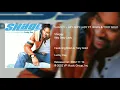 Shaggy - Hey Sexy Lady ft Brian Tony Gold