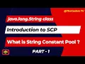 String Constant Pool in java lang String class SCP String Class TheCoders TV