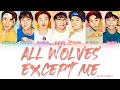 Download Lagu BTOB (비투비) - All Wolves Except Me (나 빼고 다 늑대) [Han|Rom|Eng] Color Coded Lyrics