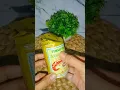 Download Lagu Resep Siwang Terasi Bawang Enak dan Renyah. #terasi #bawang #idejualan #resepsimple #reseprumahan