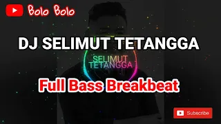 Download DJ SELIMUT TETANGGA | BREAKBEAT | VIRAL TIKTOK MP3