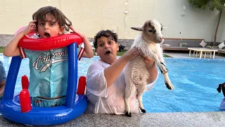 أبو فهودي أخذ عياله للشاليه وصدمو اصغر ماعز بالسياره دندنها