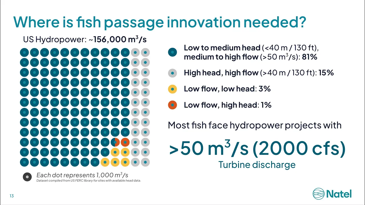 Modernizing Hydropower Plants with FishSafe Turbines | Natel Energy