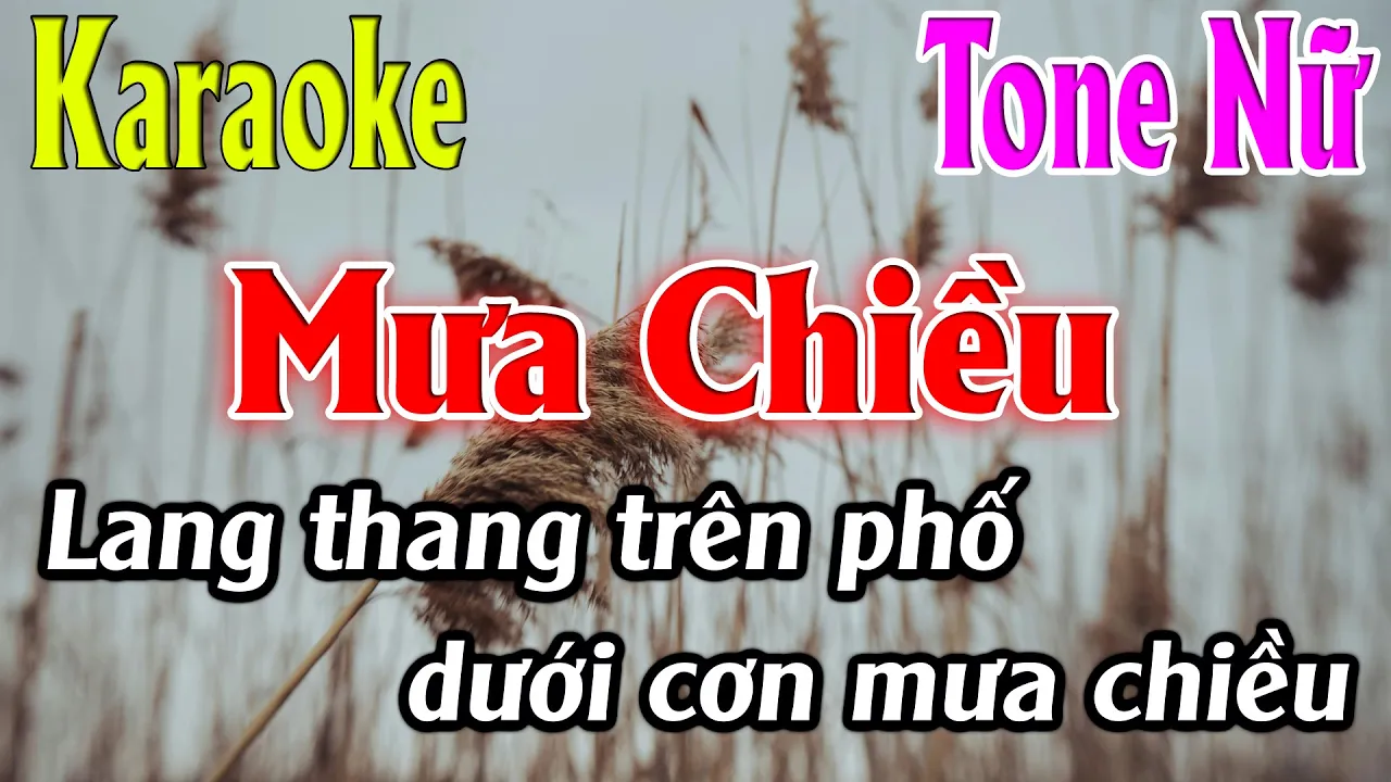 Mưa Chiều Karaoke Tone Nữ Karaoke Lâm Organ - Beat Mới
