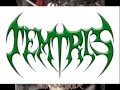 Download Lagu Temtris - Masquerade
