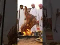 Download Lagu The Sheikhs of Dubai eat camel meat even in summer