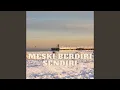 Download Lagu Meski berdiri sendiri