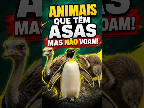 ANIMAIS QUE TEM ASAS MAIS NÃO VOAM 🦆😱 #shorts