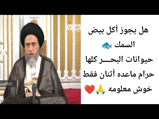 ⁣هل يجوز أكل بيض السمك.. 🙏❤||ح10أحكام عامه ماده الجلاتين ||سيد صباح شبر
