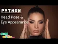 Python Machine Learning - Driver Visual Attention Using Head Pose Eye Appearance