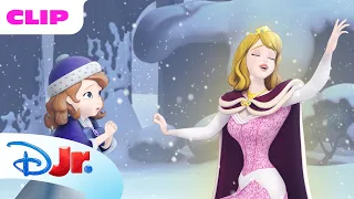 Aurora 💫 Speciale Settimana delle Princiesse 💫 Disney JR IT
