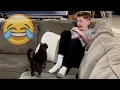 Lagu Cats Being JERKS! Savage Cats Attacking People Compilation || PETASTIC 🐾