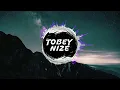 SDP x Sido x Esther Graf - Mama hat gesagt (TOBEY NIZE REMIX)