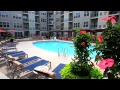 Avalon Assembly Row - MA