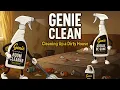 come clean a dirty house with genie clean