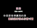 (伴奏版)許茹芸-淚海(DIY卡拉OK字幕)
