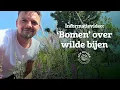 Download Lagu 🐝 Samen voor de wilde bij – met bomen, struiken en bloemen tegen biodiversiteitsverlies 🌳