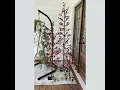 Download Lagu Indoor/Outdoor Pre-Lit Red Berry Trees, Set of Three