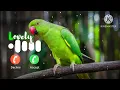 Message notification Ringtone love sms ringtone notification message ringtone notification love