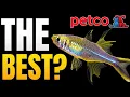 These Are Secretly the Best Fish at Petco