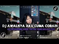 Download Lagu DJ AWALNYA AKU CUMA COBAIN MEJIKUHIBINIU VIRAL TIKTOK YANG KALIAN CARI INI YA 