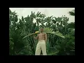 Download Lagu {FREE} If Bob Marley Made Reggae R\u0026B Type Beat \