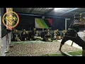 Download Lagu Jong Jong Inai... PSSBNKSB Gelanggang Sungai Haji Dorani