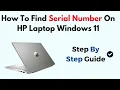 How To Find Serial Number On HP Laptop Windows 11