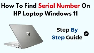How To Find Serial Number On HP Laptop Windows 11