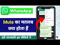 Download Lagu whatsapp me mute notification kya hai | mute notifications whatsapp kya hai @minitg
