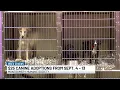 Montgomery Humane Society offering 25 dog adoptions