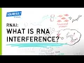 Download Lagu RNAi: What is RNA Interference?