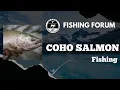 Online Fishing Forum Coho Salmon Fishing