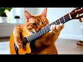 Download Lagu Si Kucing Pemain Gitar | Lagu Anak Menggemaskan \u0026 Menghibur 💖🎸