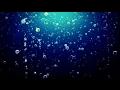 Free Animated Background 17 - Bubbles Animation