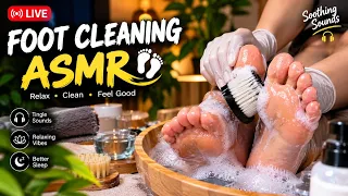 LIVE 🔴 Deep Foot Cleaning ASMR 🧼🦶 | Satisfying Cleaning Sounds for Relaxation & Sleep