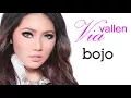 Via Vallen - Bojo Galak (Official Lyric Video)