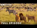 African Savannah From Deserts to Grasslands FULL EPISODE Wildlife Documentary